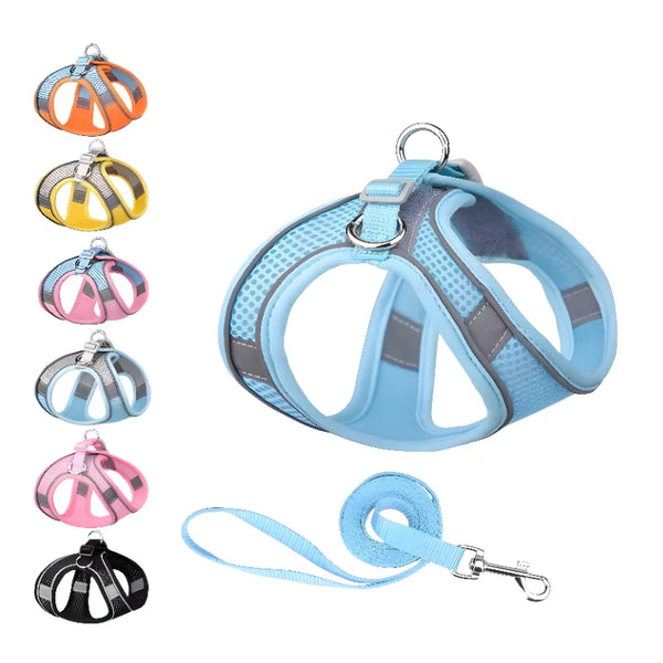 Harness Leash Set