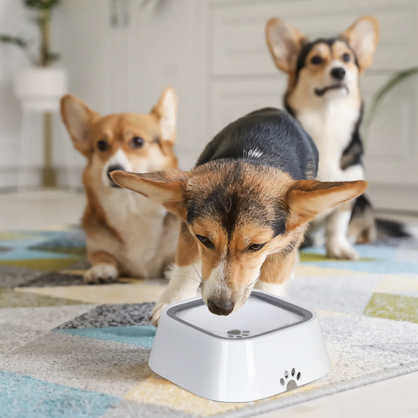 No Spill Water Bowl For Dogs And Cats